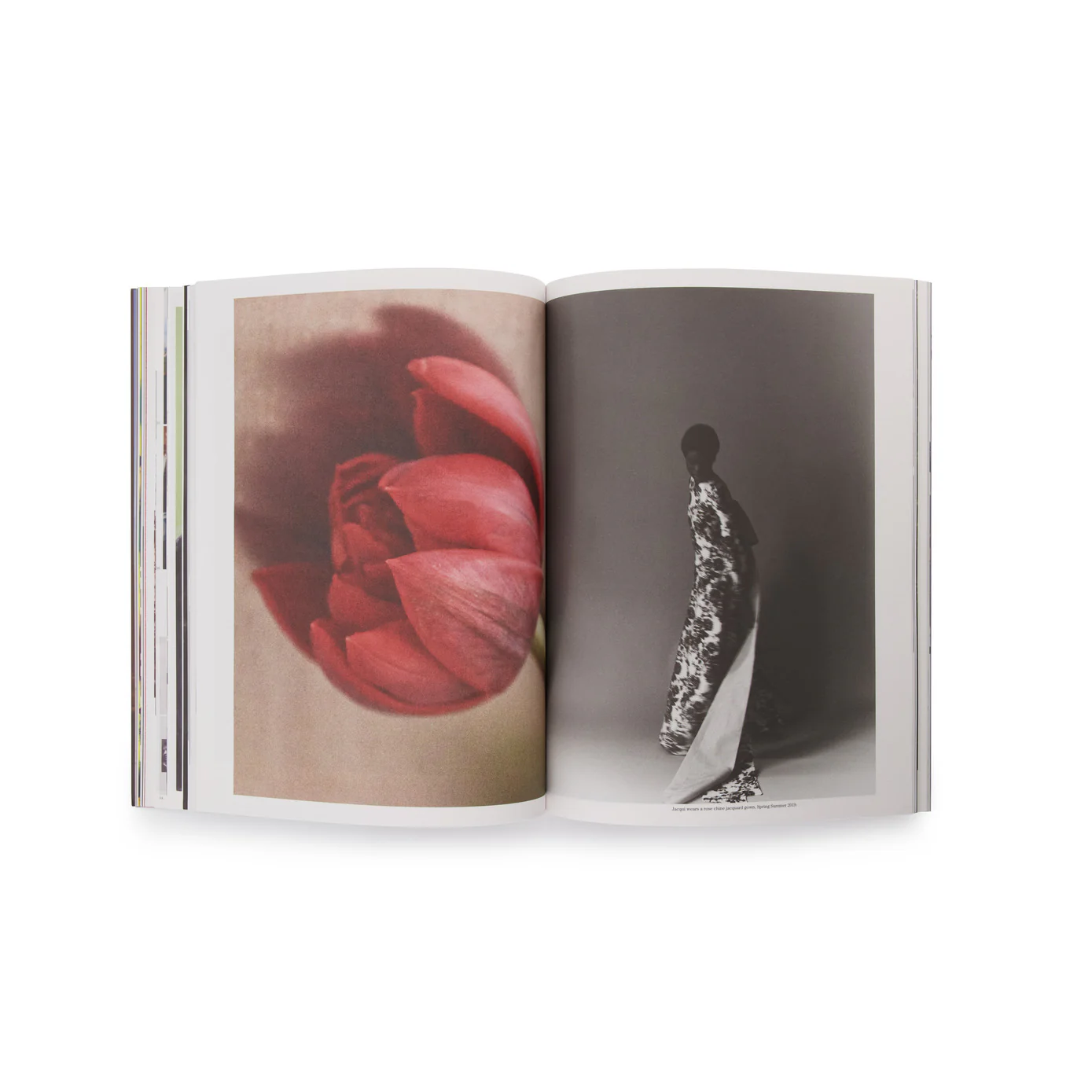 A Magazine Curated By Erdem - Image 8