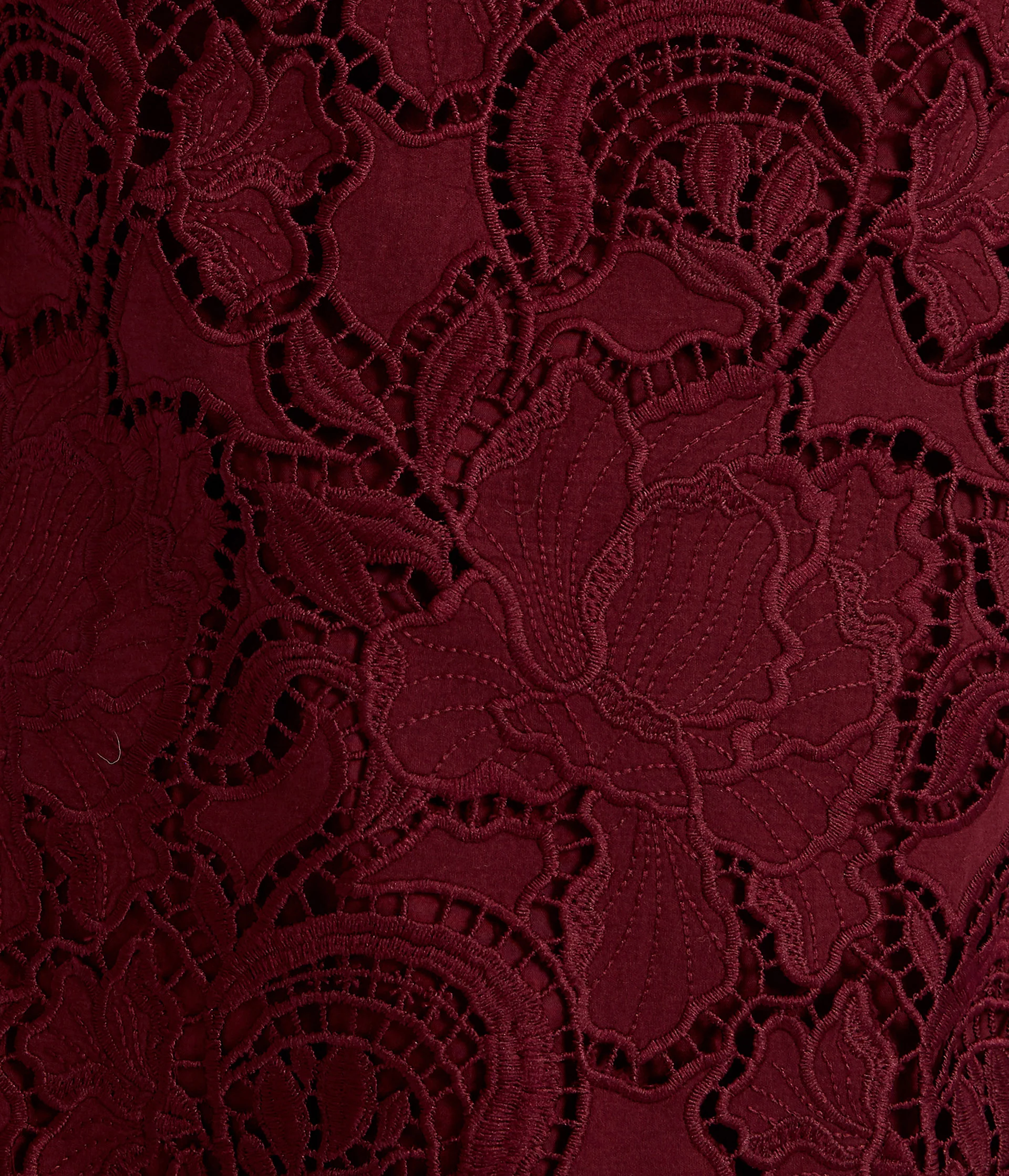 Floral Cutwork Mini Dress - Image 5